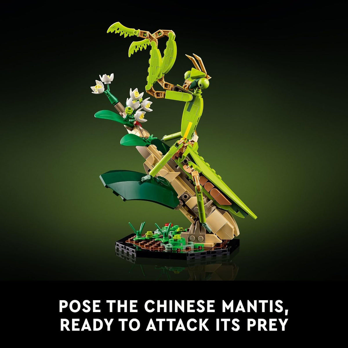 LEGO Ideas The Insect Collection, Fun Gift for Nature Lovers, with Life-Size Blue Morpho Butterfly, Hercules Beetle and Chinese Mantis Display Models, Bug Building Set and Nature Décor, 21342,18+