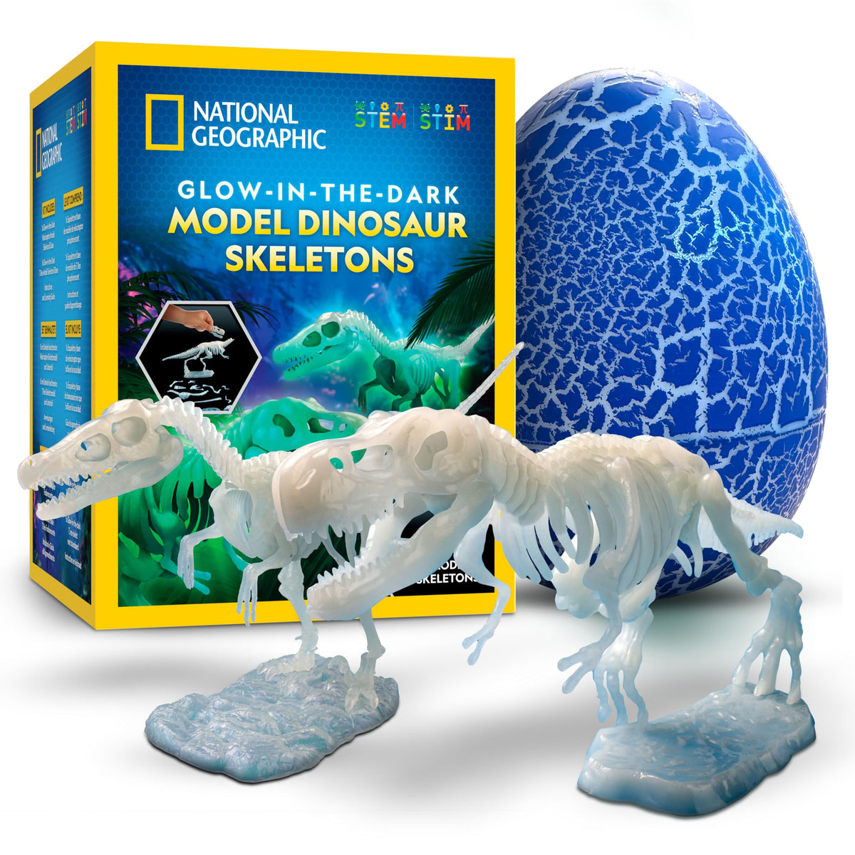 National Geographic Clay Dinosaur Arts and Crafts Activity Kit for Kids
