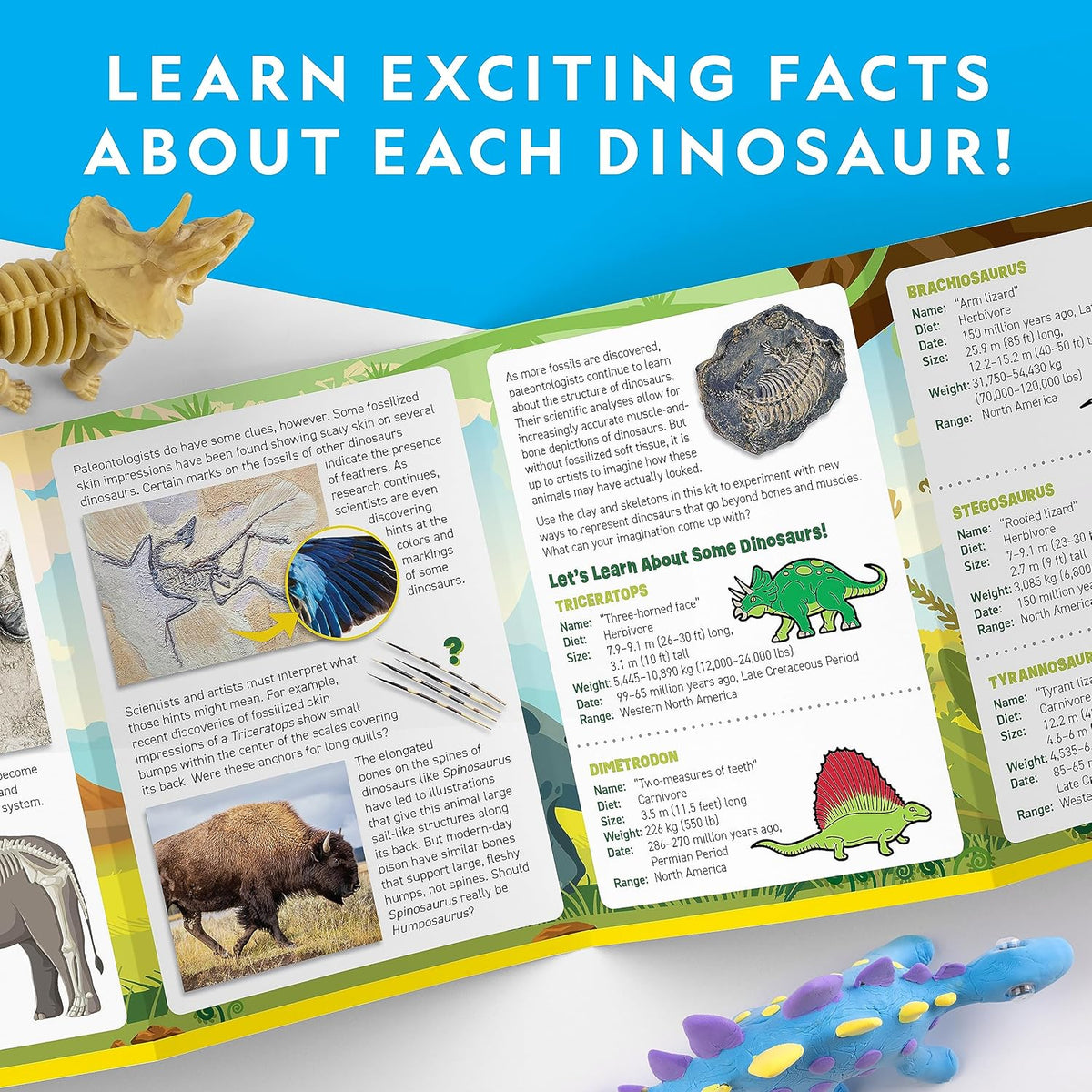 National Geographic Clay Dinosaur Arts and Crafts Activity Kit for Kids